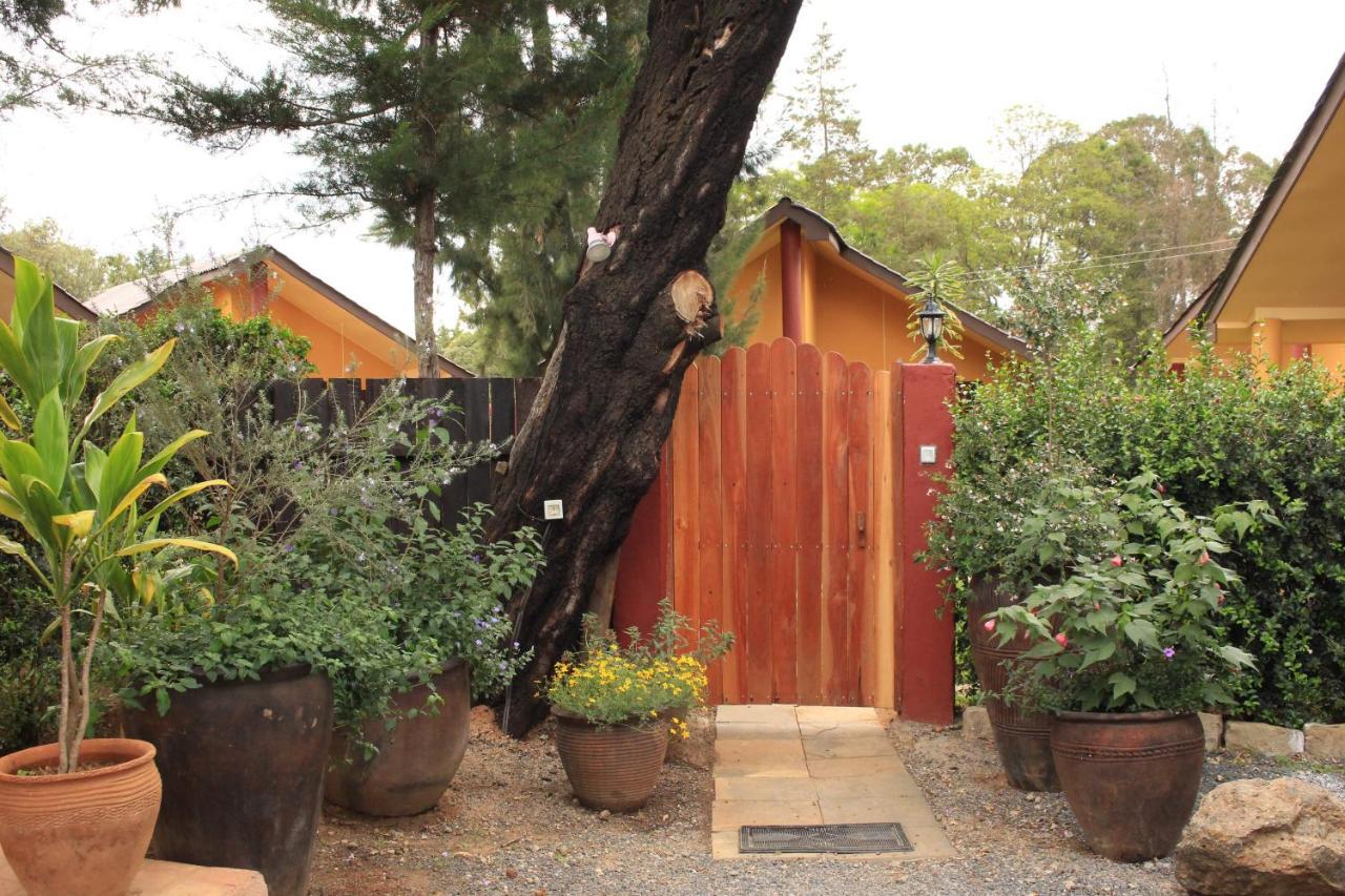 Le Rustique Hotel Nanyuki Bagian luar foto
